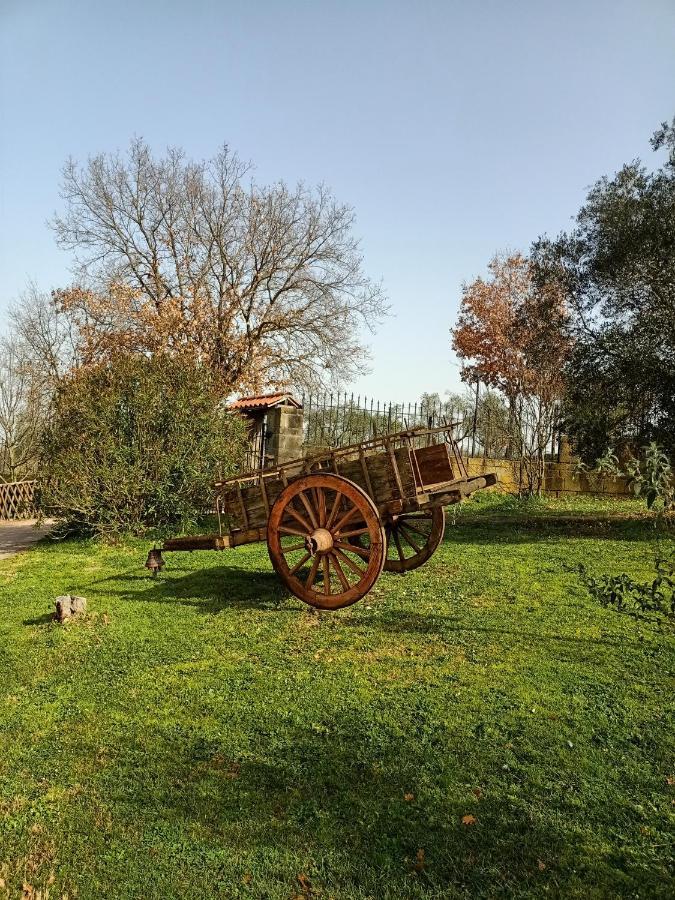 Rifugio Di Campagna Βίλα Vitorchiano Εξωτερικό φωτογραφία